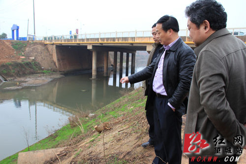 3月11日，副区长杨利成中调研马桥河截污管网工程情况。解巾英